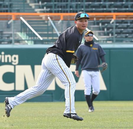 　試合前、外野ノックを受ける森下（撮影・高部洋祐）