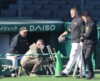 　フリー打撃を終え引き揚げるノイジー（右から２人目）。左端は岡田監督（撮影・高部洋祐）