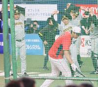 大谷翔平（手前）のフリー打撃を見つめた阪神・森下翔太（左）、阪神・佐藤輝明（右奥）ら＝京セラドーム大阪（撮影・吉澤敬太）