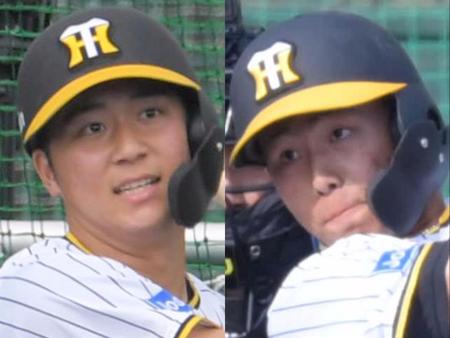 　阪神・井坪陽生（左）と戸井零士