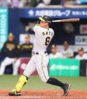 　８回、中越えにソロを放つ佐藤輝（撮影・吉澤敬太）