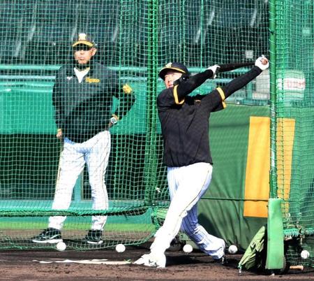 　岡田監督（奥）の見る中、打撃練習する大山