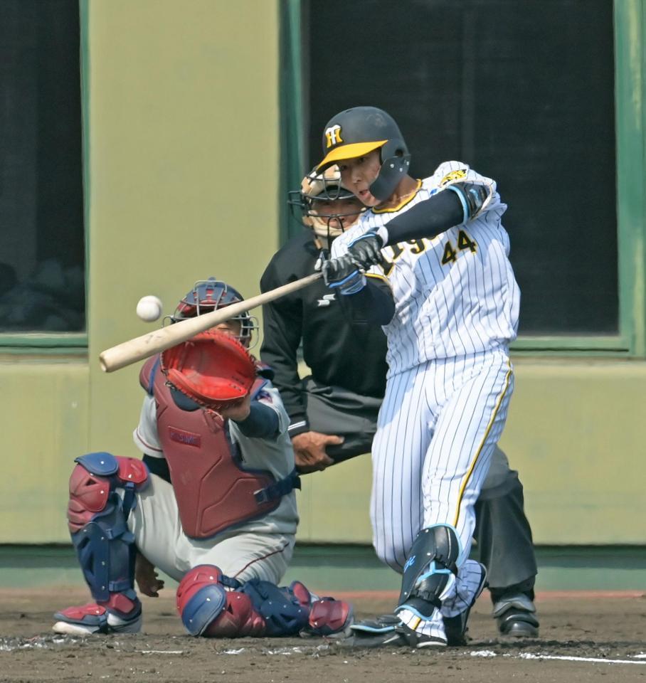 　２回、適時二塁打を放つ戸井（撮影・立川洋一郎）