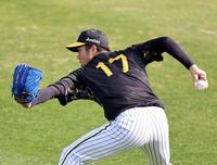 　キャッチボールする青柳（撮影・山口登）