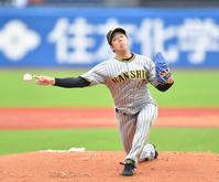 　力投する先発の青柳（撮影・中田匡峻）