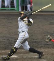 　７回、２ランを放つ井上（撮影・北村雅宏）