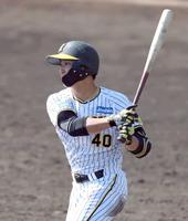 　５回、井坪は左前打を放つ（撮影・山口登）