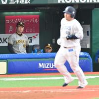 　８回、先制ソロを放った中村（右）を見つめる岡田監督（中央）＝撮影・西岡正