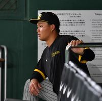 　ベンチから巨人の練習を見つめる森下（撮影・中田匡峻）