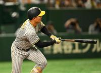 　５回、左中間にソロを放つ森下（撮影・金田祐二）