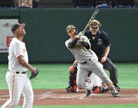 　５回、左越えソロを放つ森下（撮影・西岡正）