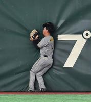 　４回、巨人・岸田行倫の打球を好捕した右翼手の森下（撮影・中田匡峻）