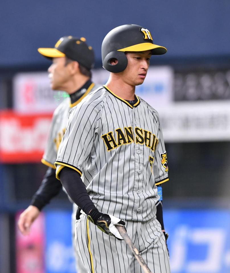 　５回、空振り三振に倒れた近本（手前）と選手交代を告げに向かう岡田監督（撮影・中田匡峻）