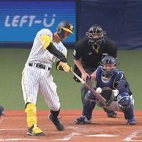 　４回、左中間スタンドへソロを放つ佐藤輝（撮影・立川洋一郎）