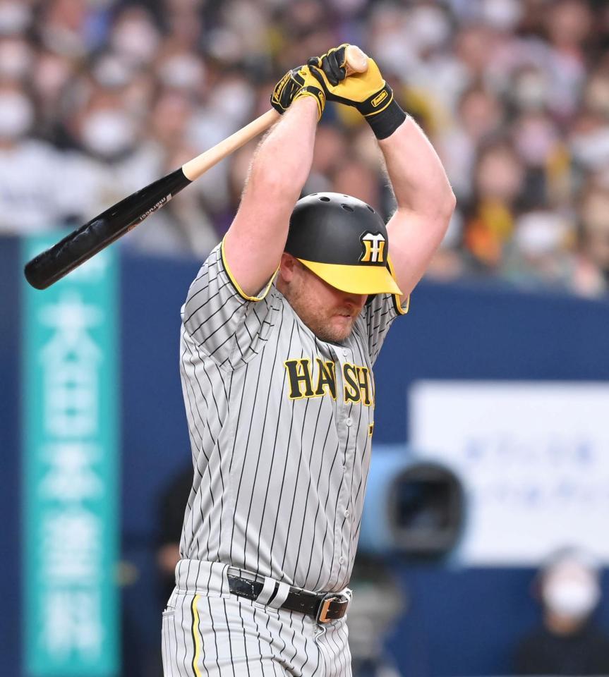 　４回、一邪飛を打ち上げ、怒りをあらわにするノイジー（撮影・高部洋祐）