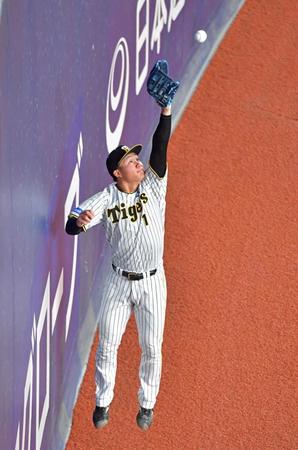 　守備練習で壁際の打球処理を繰り返す森下（撮影・立川洋一郎）