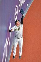 　守備練習で壁際の打球処理を繰り返す森下（撮影・立川洋一郎）