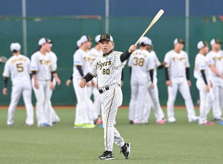 　バットを手にナインの練習を見守る岡田監督（撮影・高部洋祐）