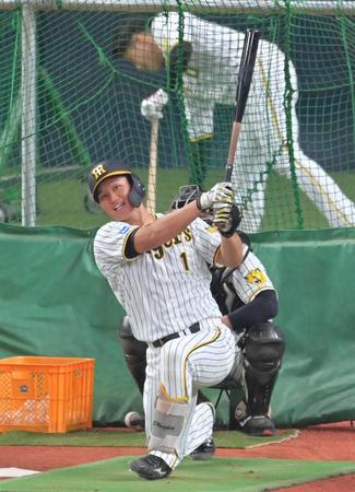 　フリー打撃で打ち込みを図る森下