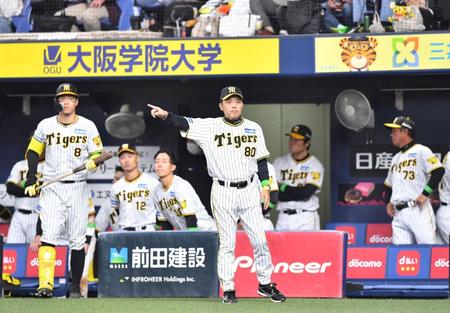 　７回、ノイジーに代走を送る岡田監督（中央）＝撮影・中田匡峻