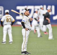 　上を見上げる岡田監督（撮影・中田匡峻）