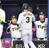 　２回、梅野の先制適時打で生還した大山（３）を迎える岡田監督（左）＝撮影・中田匡峻