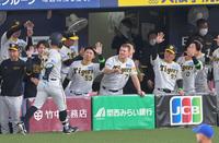 　８回、進塁打を放った代打・糸原をタッチで迎える阪神ベンチ（撮影・立川洋一郎）