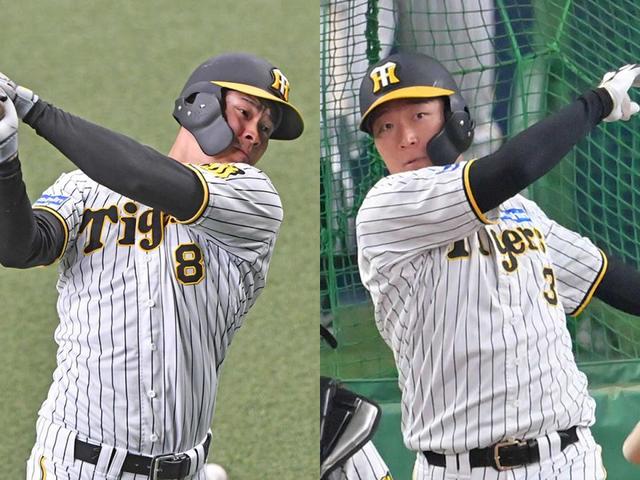 最先端 阪神タイガース4番大山悠輔選手使用バット - htii.edu.kz