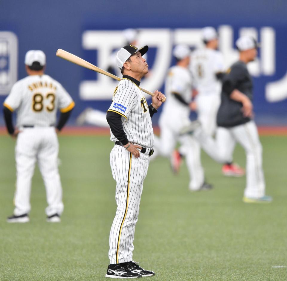 　上を見上げる岡田監督（撮影・中田匡峻）