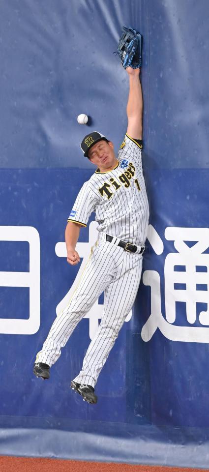 　フェンス際の飛球に飛びつく森下（撮影・高部洋祐）