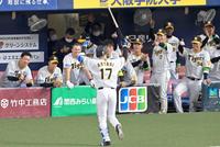 　４回、スクイズを成功させた青柳（１７）を笑顔で迎える阪神ナイン（撮影・立川洋一郎）