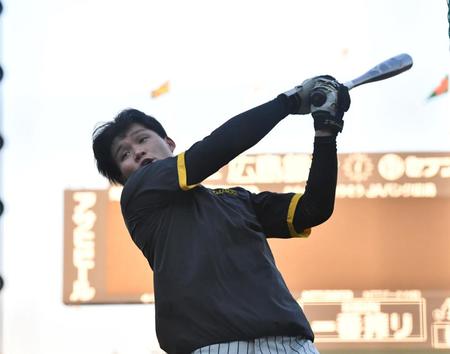 打撃練習をする森下（撮影・中田匡峻）