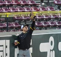 外野の守備練習で打球に飛びつく森下（撮影・立川洋一郎