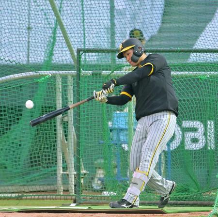 　フリー打撃で快音を響かせる森下（撮影・立川洋一郎）
