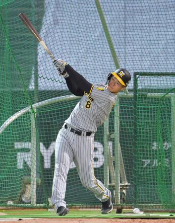 　フリー打撃で快音を響かせる佐藤輝（撮影・立川洋一郎）