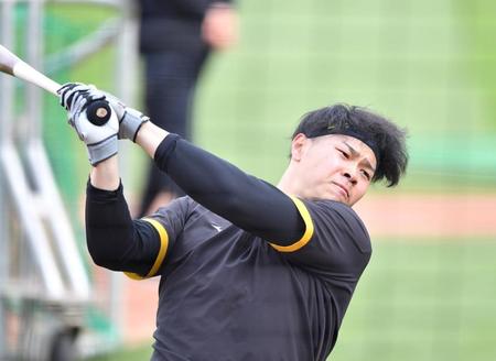 　打撃練習をする佐藤輝