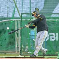 　フリー打撃で快音を響かせる森下（撮影・立川洋一郎）