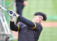 　打撃練習をする佐藤輝