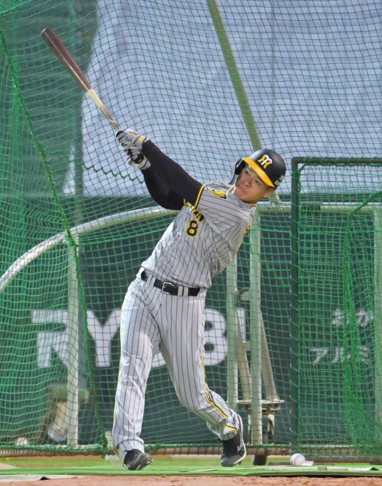 　フリー打撃で快音を響かせる佐藤輝（撮影・立川洋一郎）