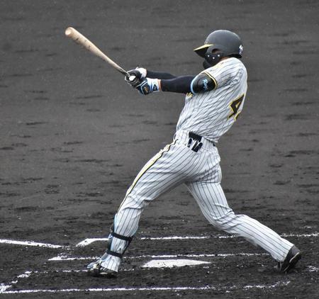 　２回、２点適時打を放った戸井