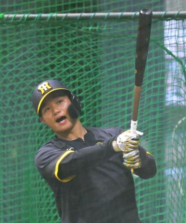 　室内練習場で打ち込む森下（撮影・立川洋一郎）