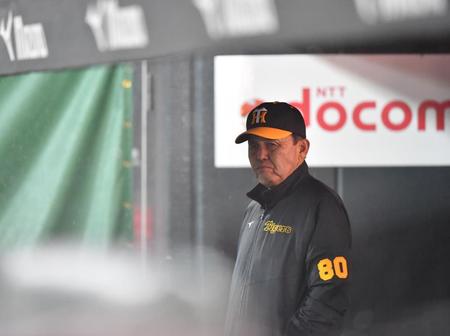 　雨で中断中の岡田監督（撮影・中田匡峻）