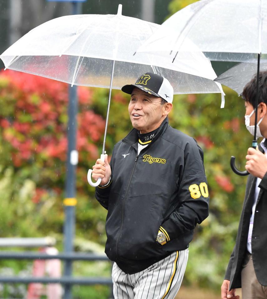 　雨が降る中、室内練習場に向かう岡田監督（撮影・中田匡峻）