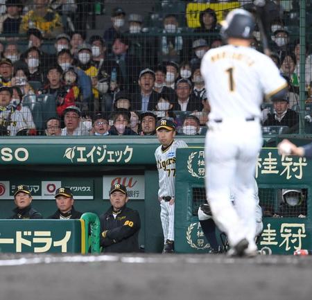 　９回、最後の打者・森下（手前）が三振に倒れ、厳しい表情を見せる岡田監督（左から３人目）＝撮影・高部洋祐