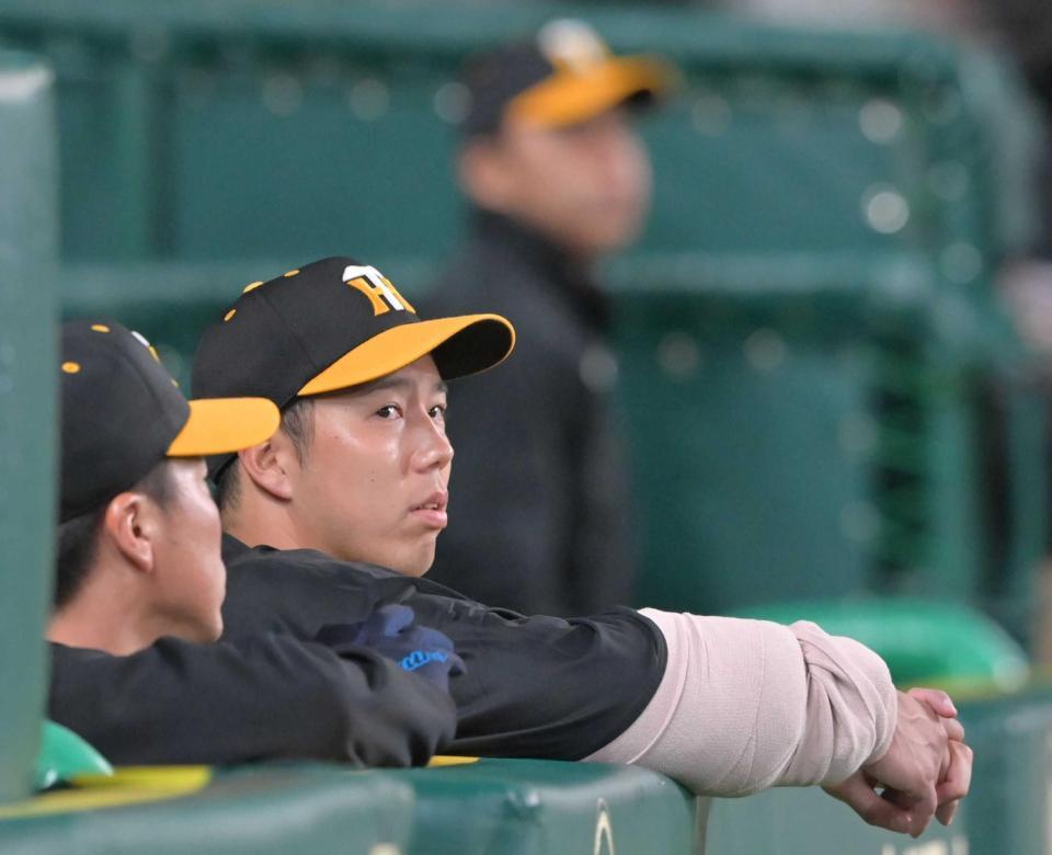 　降板後、ベンチから戦況を見守る青柳（撮影・立川洋一郎）