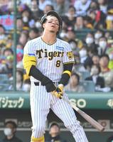 　６回、三飛を打ち上げ悔しがる佐藤輝（撮影・高部洋祐）