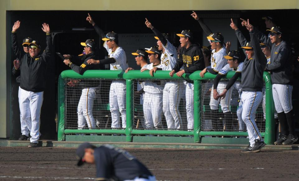 　１０回、井坪がサヨナラ打を放ち、大喜びの阪神ベンチ（撮影・北村雅宏）