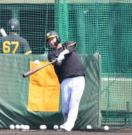 　打撃練習をする渡辺諒（撮影・中田匡峻）