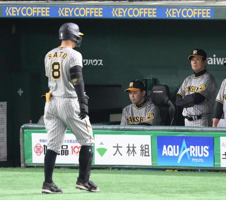 　２回、ベンチから試合を見つめる岡田監督。手前左は遊ゴロに倒れた佐藤輝（撮影・堀内翔）