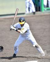 　５回、死球を受ける渡辺諒（撮影・中田匡峻）